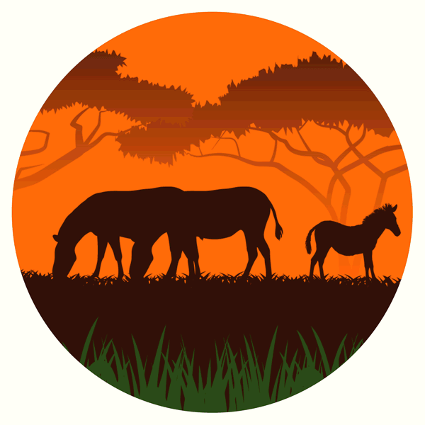 怎么回到阿拉德？资深玩家分享修炼历程，助你找回账号，重回阿拉德